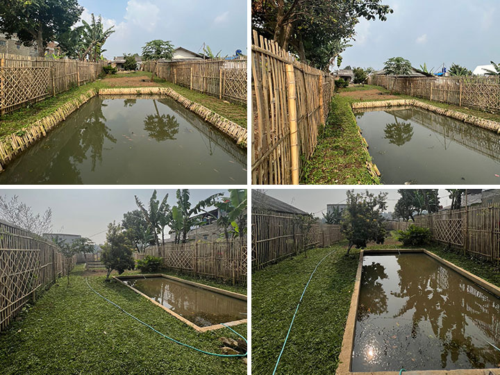 Rumah Hijau Rumah Hijau
